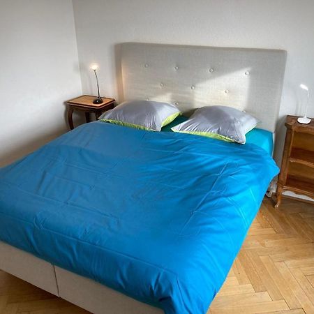 Joli 2 Pieces Dernier Etage, Lausanne Centre Eksteriør bilde