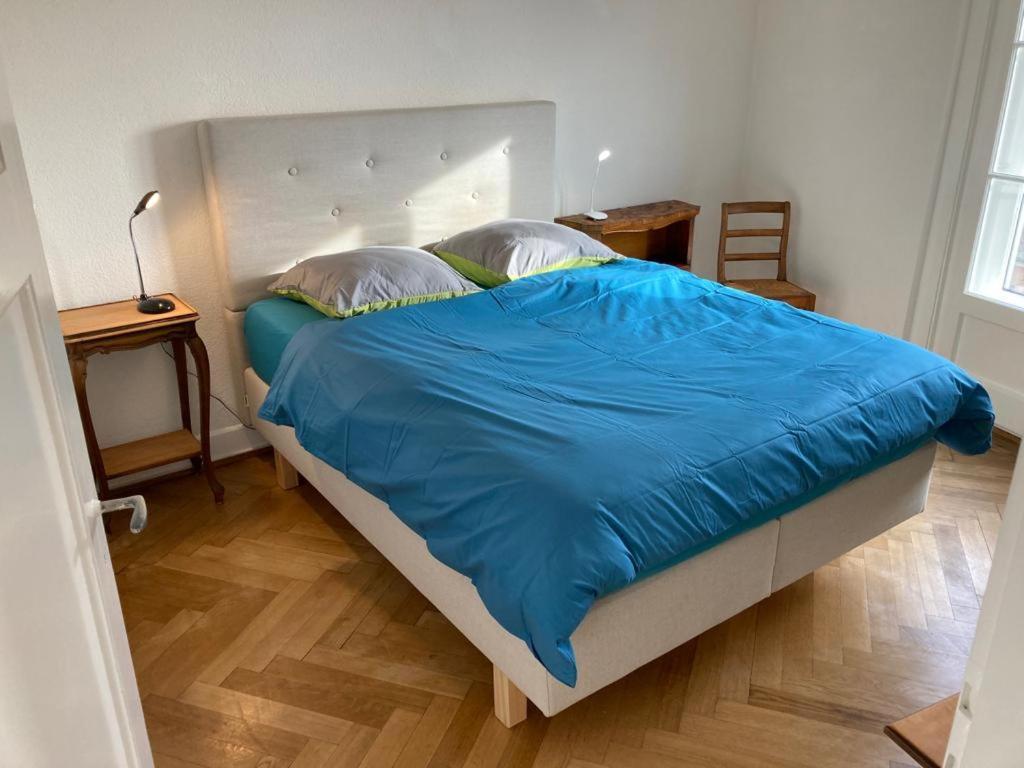 Joli 2 Pieces Dernier Etage, Lausanne Centre Eksteriør bilde